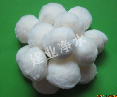 �����w�S��