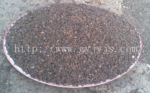 ���|(zh��)���iɰ�V��